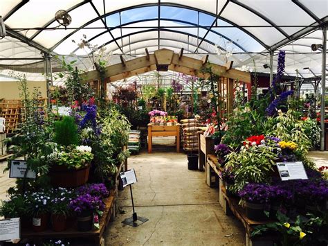 wholesale nursery bay area